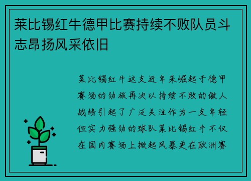 莱比锡红牛德甲比赛持续不败队员斗志昂扬风采依旧