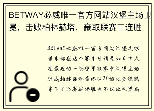 BETWAY必威唯一官方网站汉堡主场卫冕，击败柏林赫塔，豪取联赛三连胜 - 副本